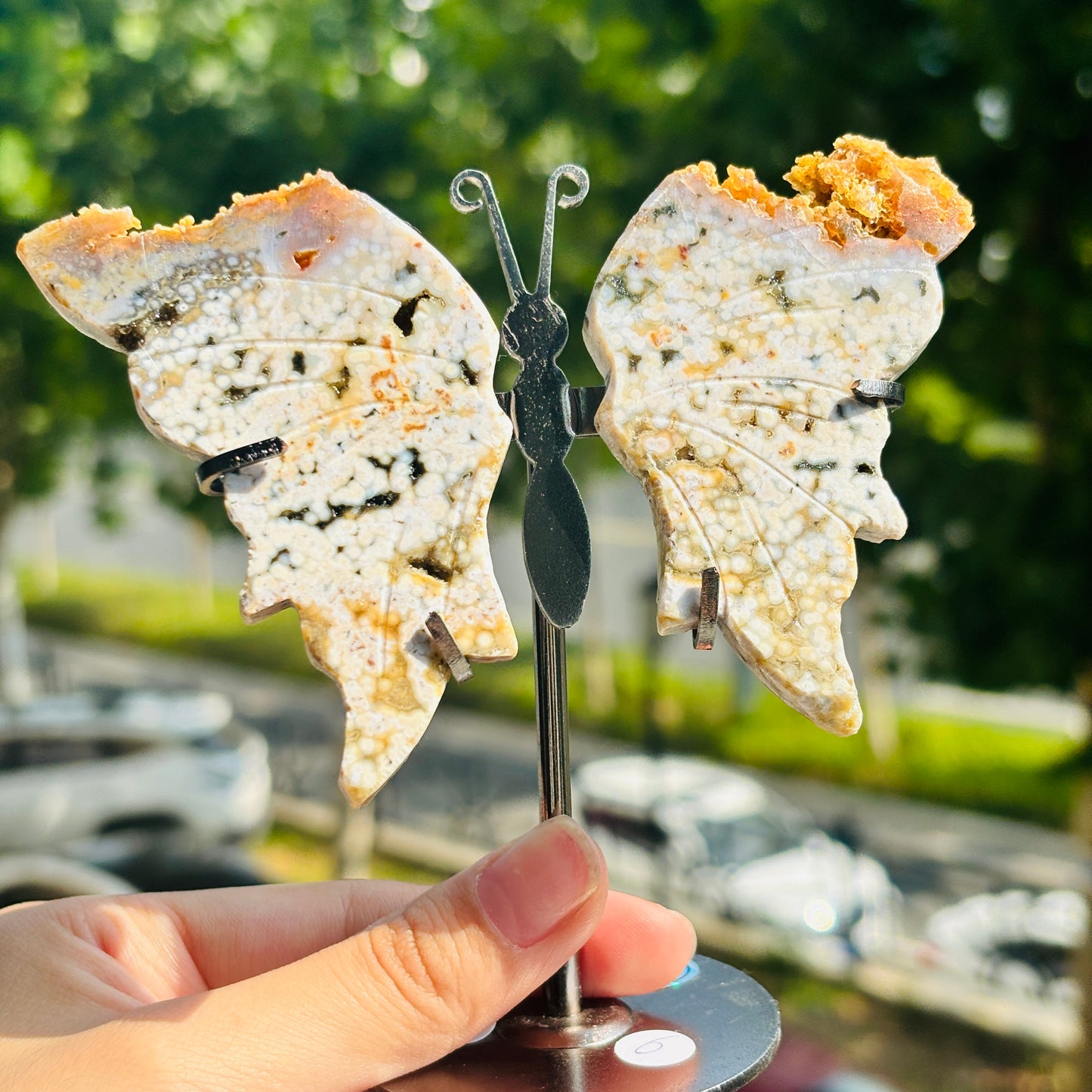 Unique Jasper Butterfly Sculpture – Decorative Crystal Art for Home and Office