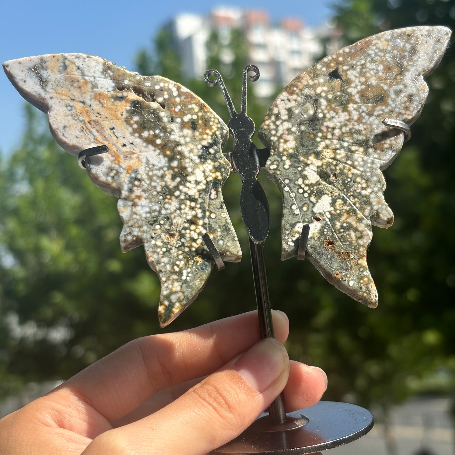 Unique Jasper Butterfly Sculpture – Decorative Crystal Art for Home and Office