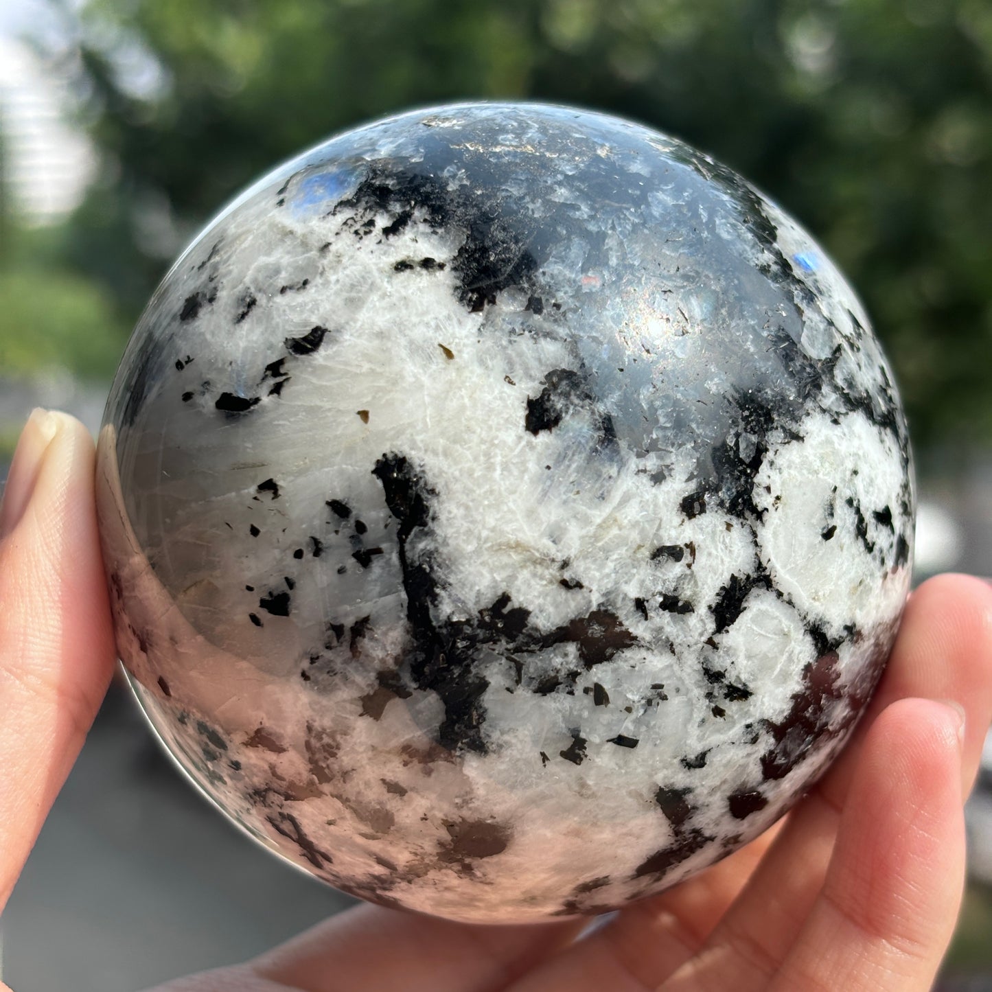 "Enchanted Moonstone Sphere - Iridescent Glow & Deep Mystique"