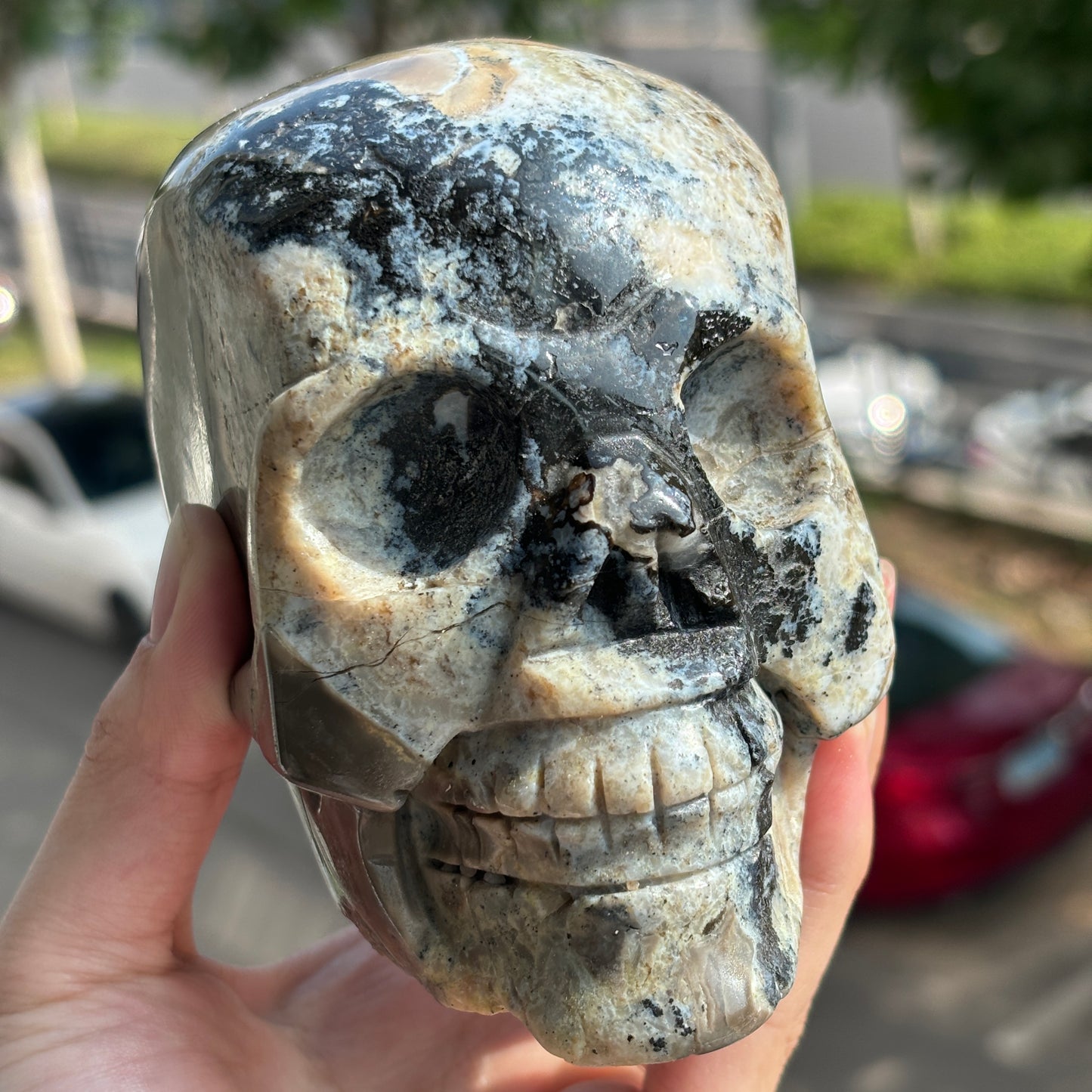Hand-Carved Volcanic Agate Skull - Unique Artisan Stone Sculpture"
