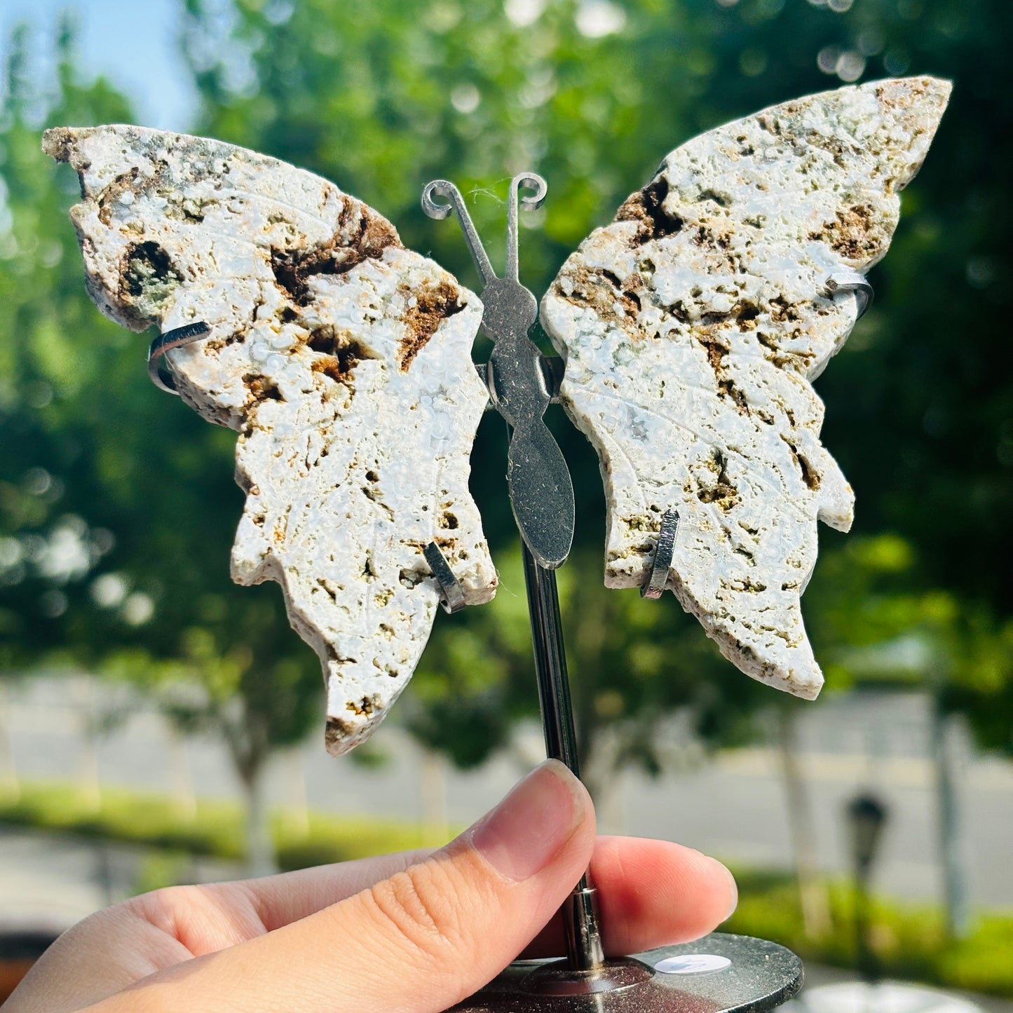 Unique Jasper Butterfly Sculpture – Decorative Crystal Art for Home and Office
