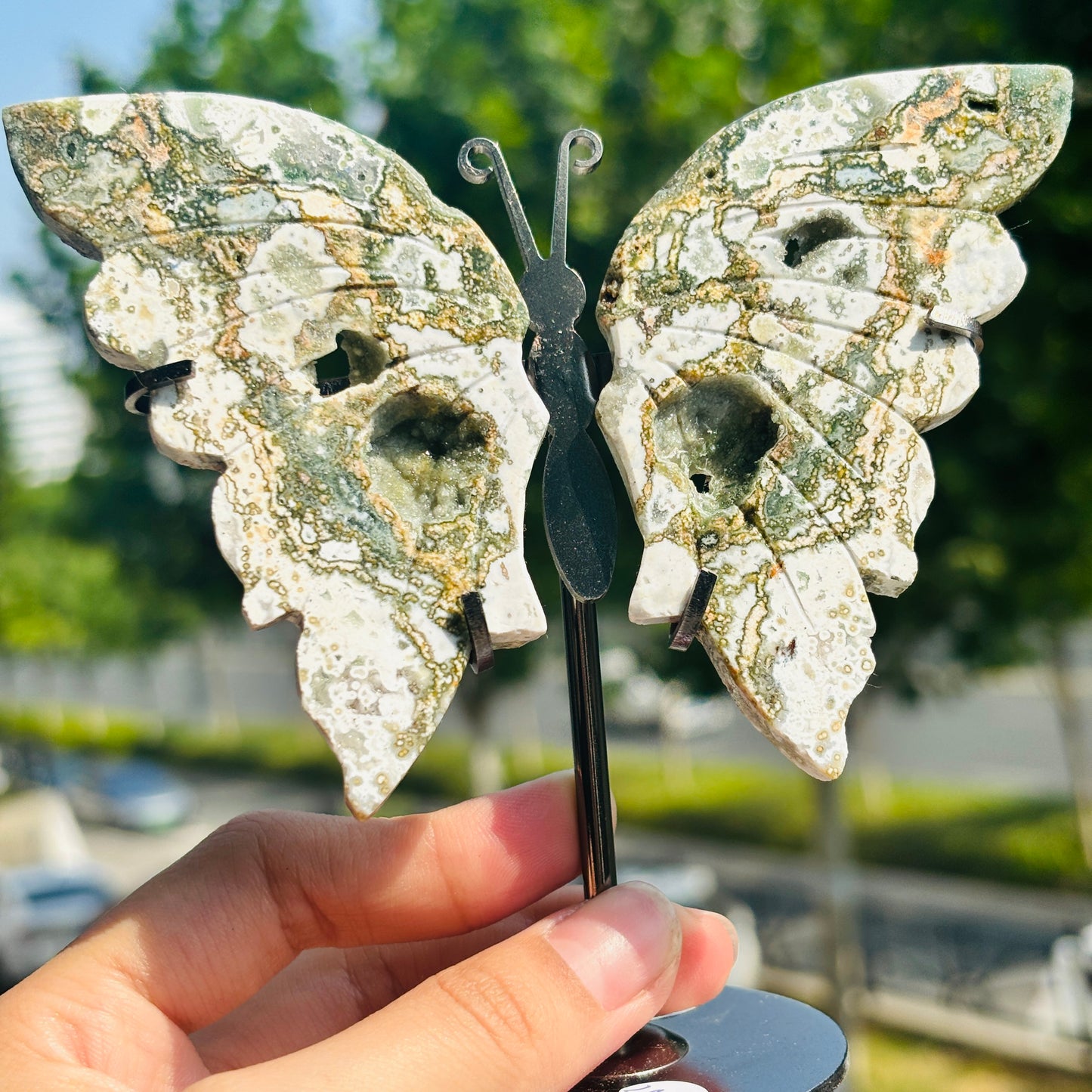 Unique Jasper Butterfly Sculpture – Decorative Crystal Art for Home and Office