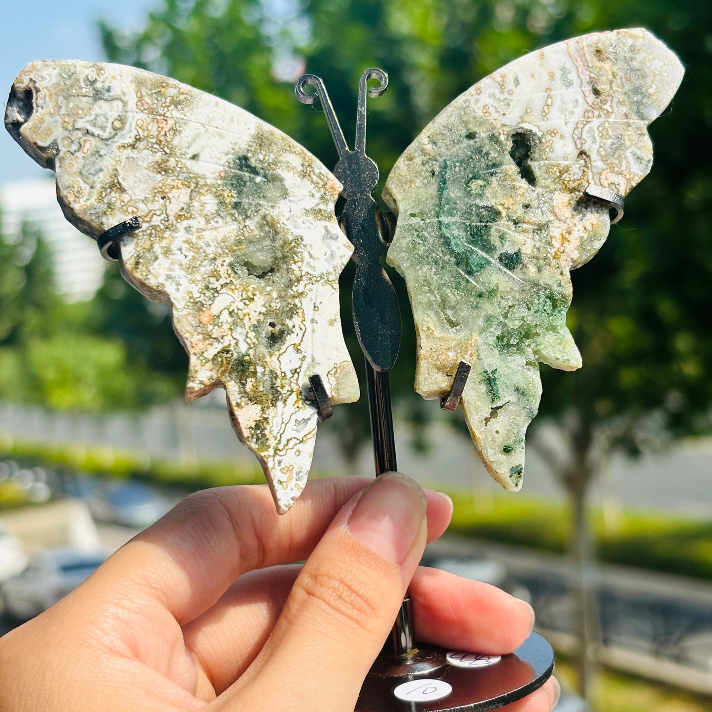 Unique Jasper Butterfly Sculpture – Decorative Crystal Art for Home and Office