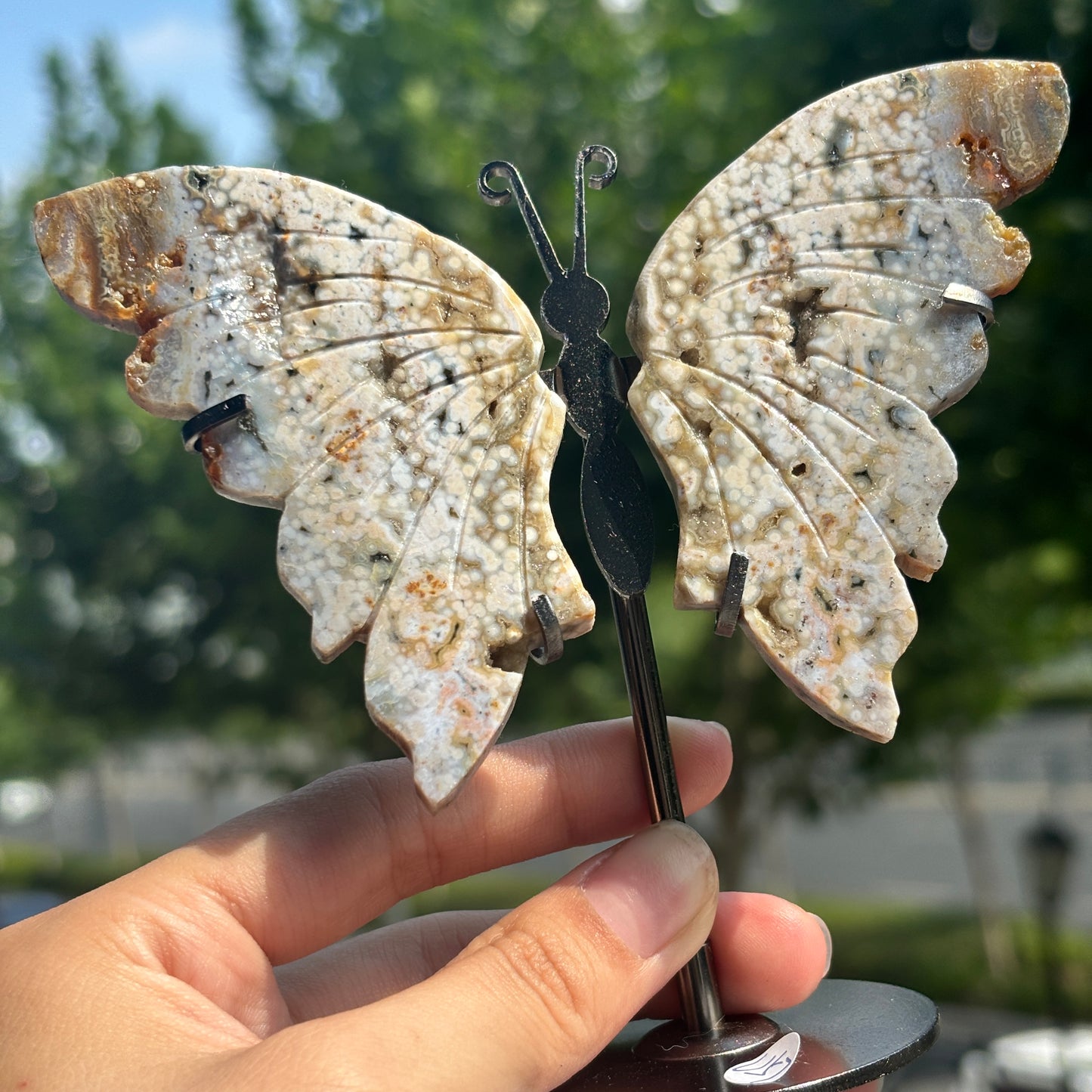 Unique Jasper Butterfly Sculpture – Decorative Crystal Art for Home and Office