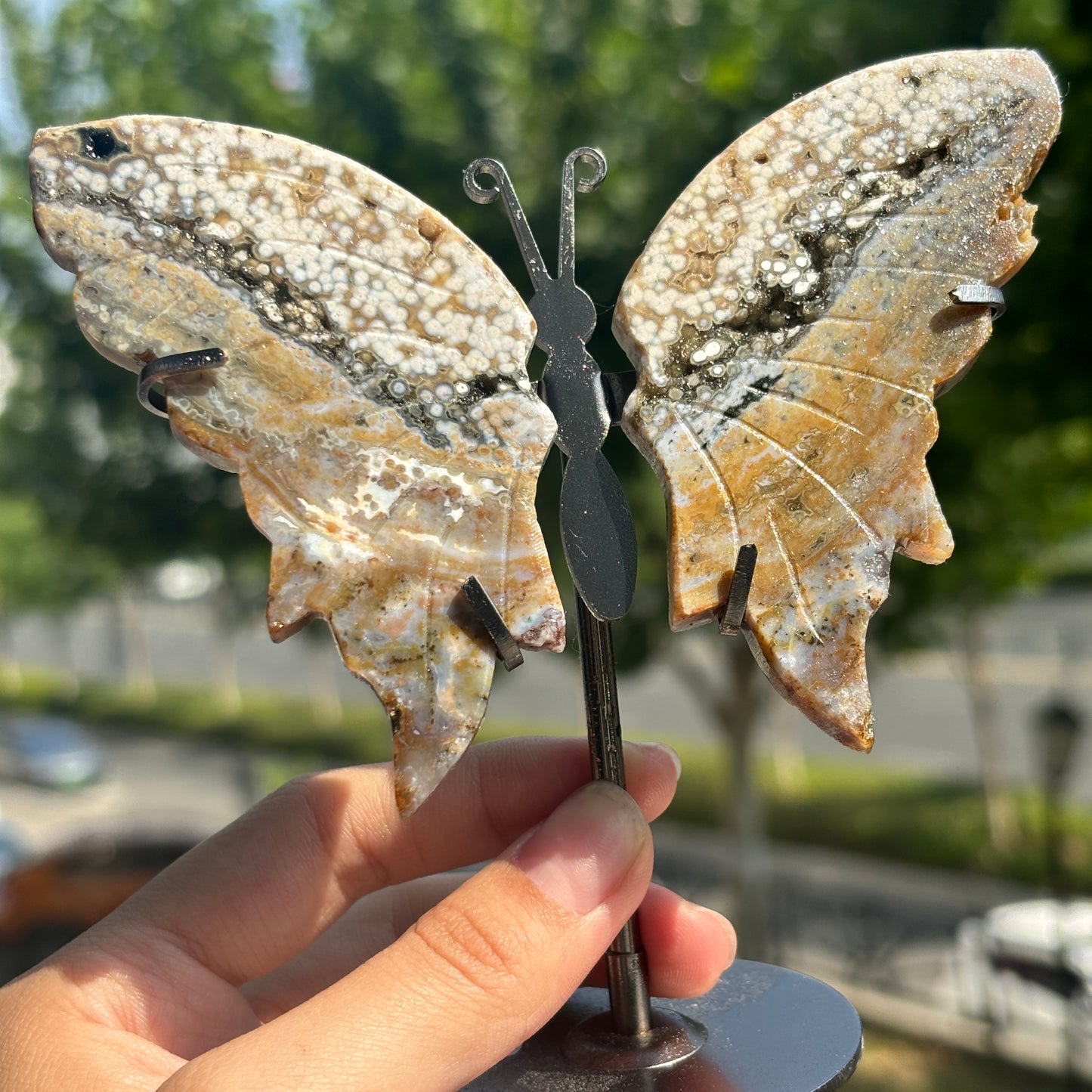 Unique Jasper Butterfly Sculpture – Decorative Crystal Art for Home and Office