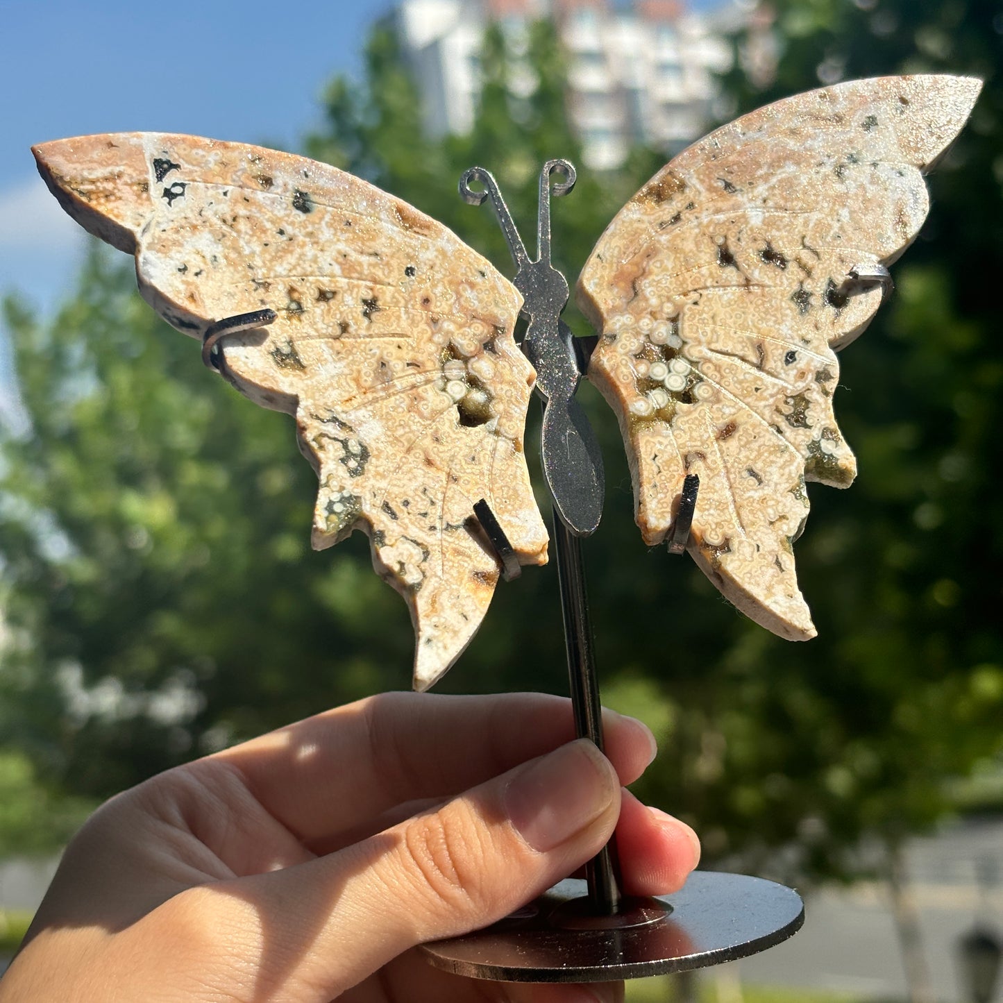 Unique Jasper Butterfly Sculpture – Decorative Crystal Art for Home and Office