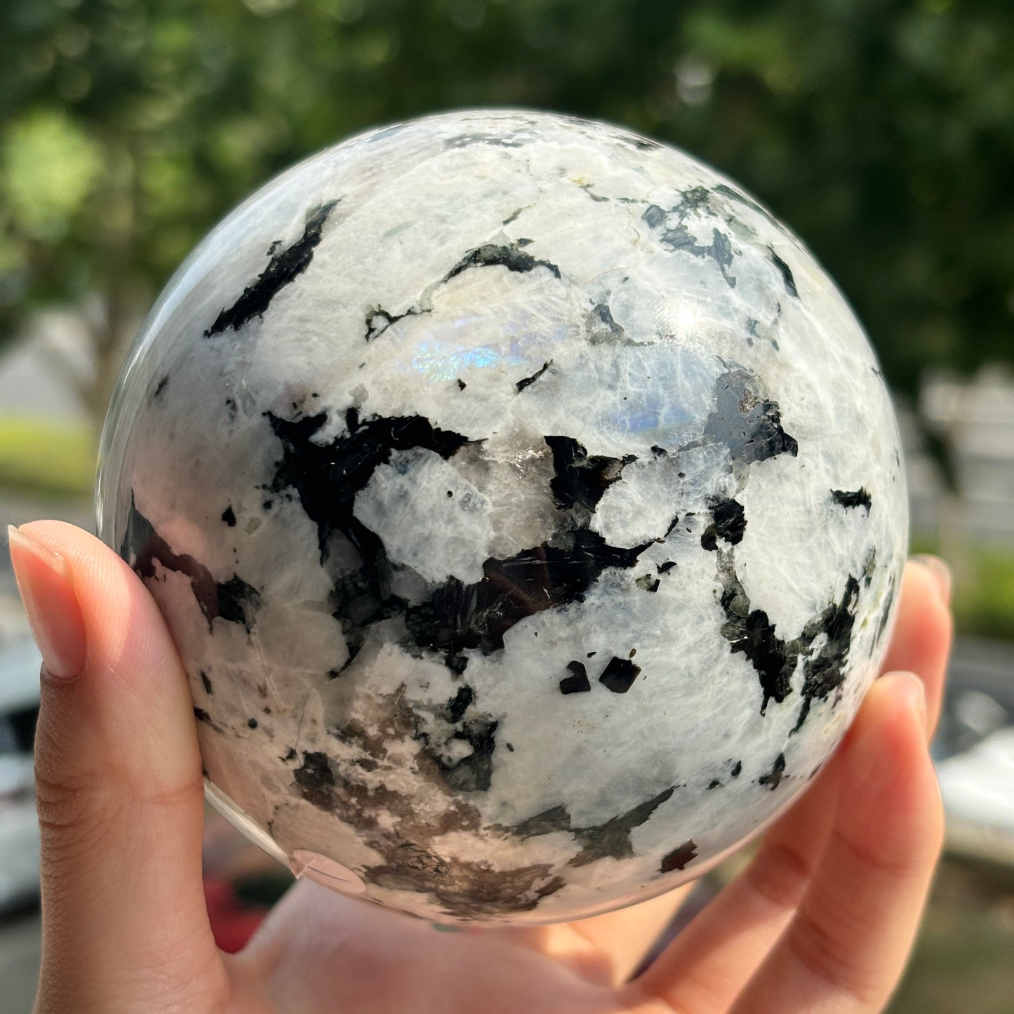 "Enchanted  Moonstone Sphere - Iridescent Glow & Deep Mystique"