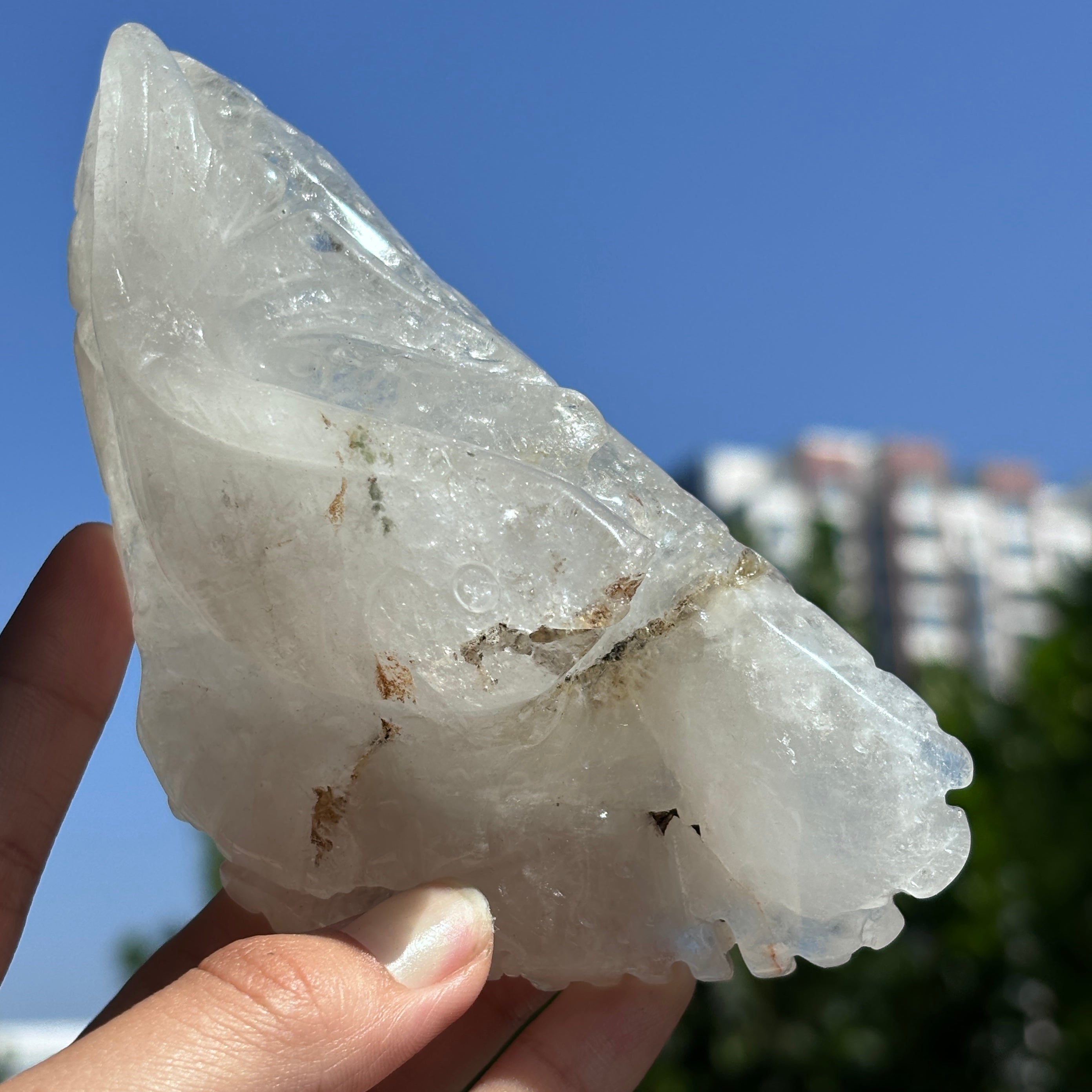"Hand-Carved Clear Quartz Dragon Figurine | Unique Crystal Carving for Display"