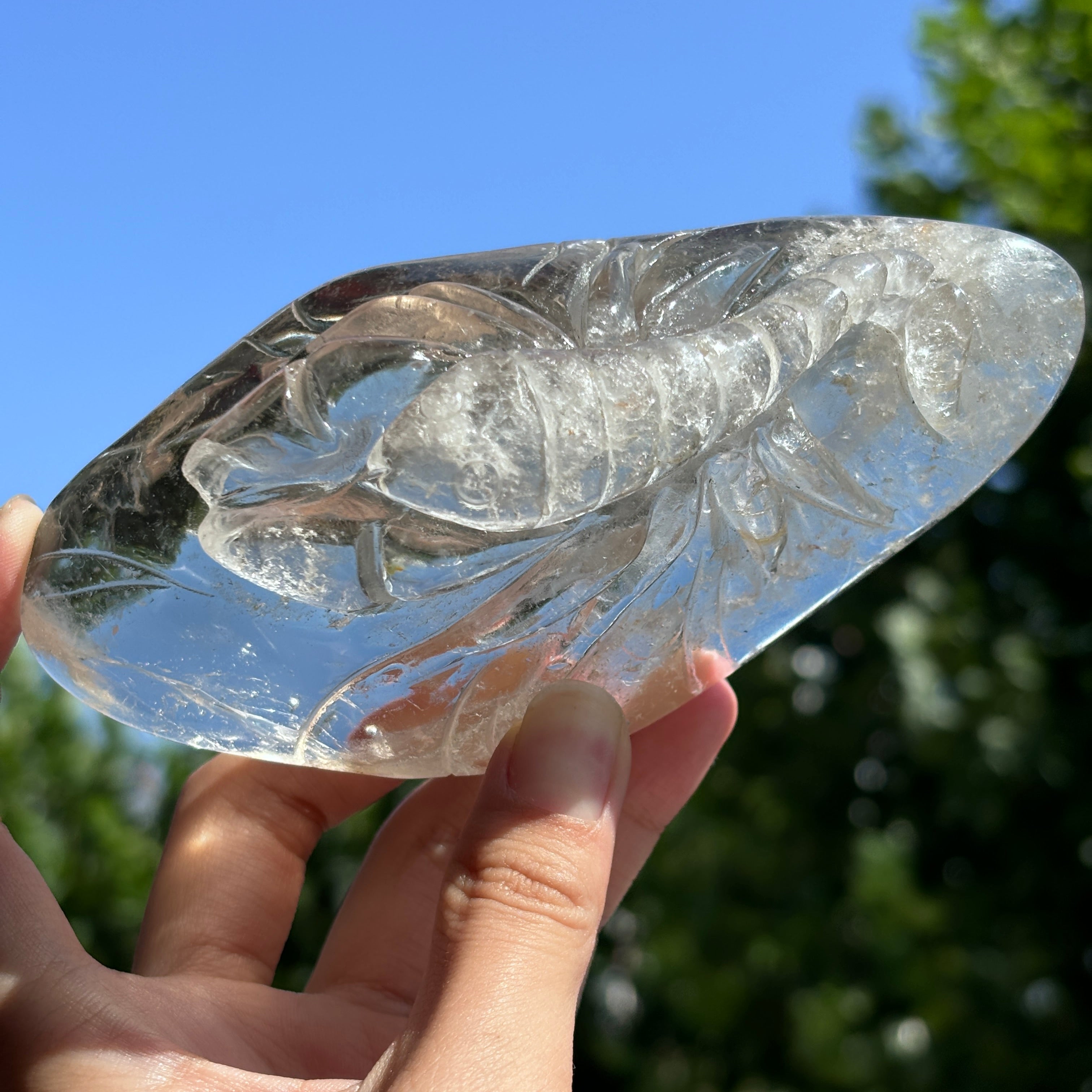 "Hand-Carved Clear Quartz Dragon Figurine | Unique Crystal Carving for Display"