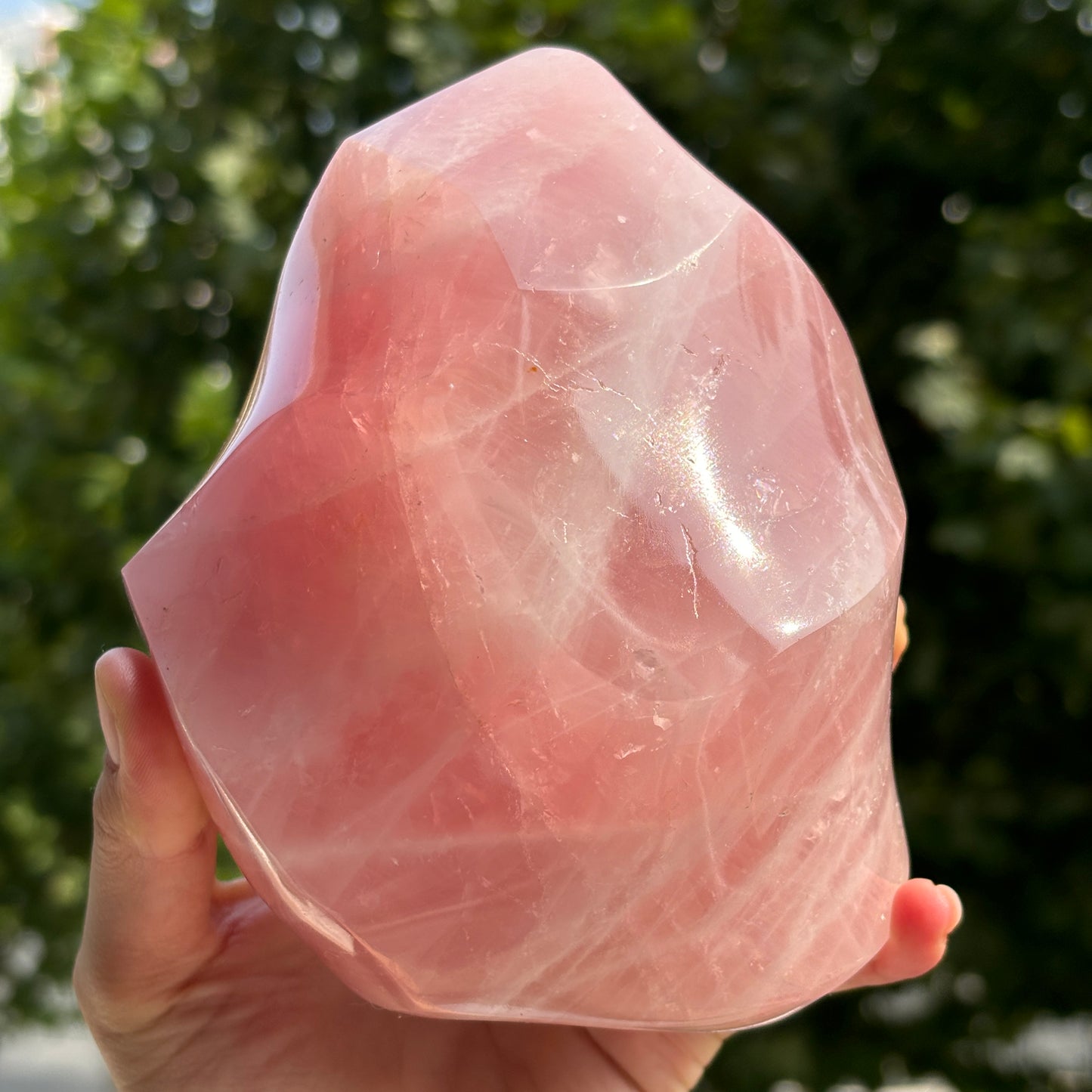 Polished Rose Quartz Freeform | Handcrafted Crystal Decor for Serenity