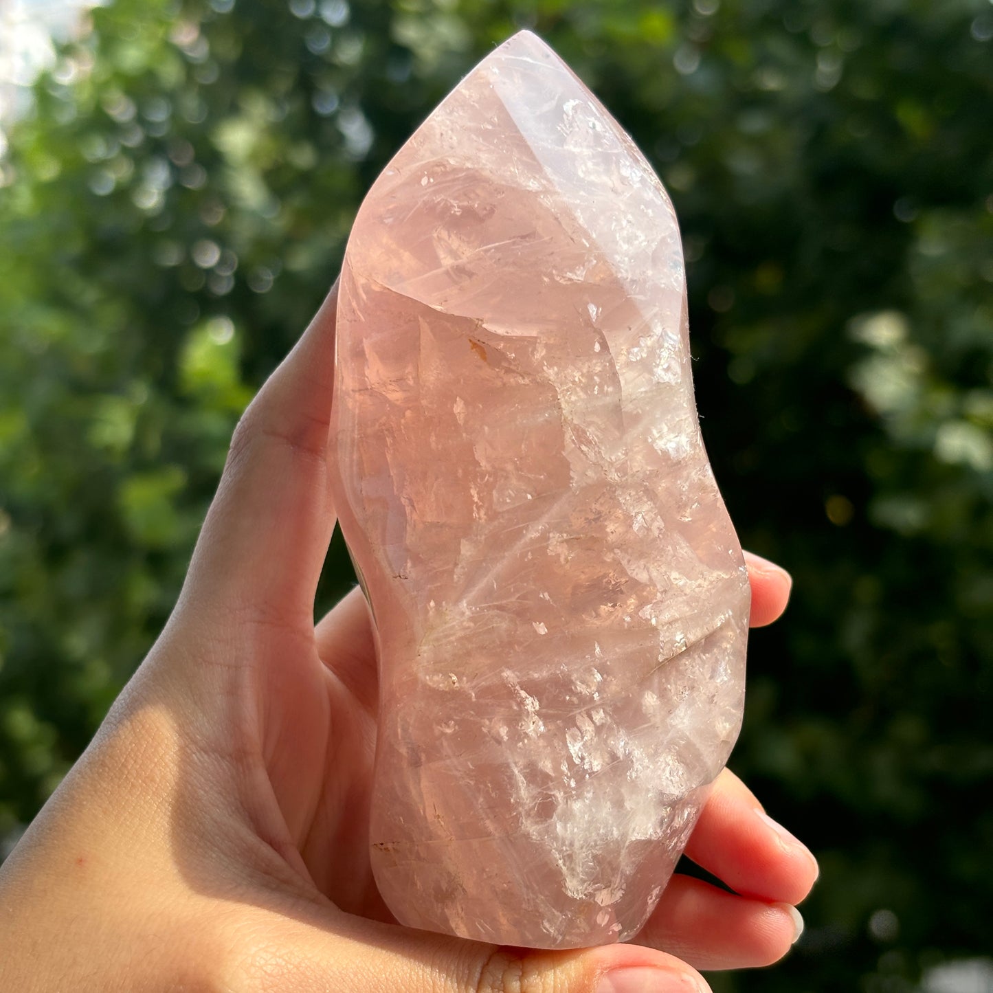 Polished Rose Quartz Freeform | Handcrafted Crystal Decor for Serenity