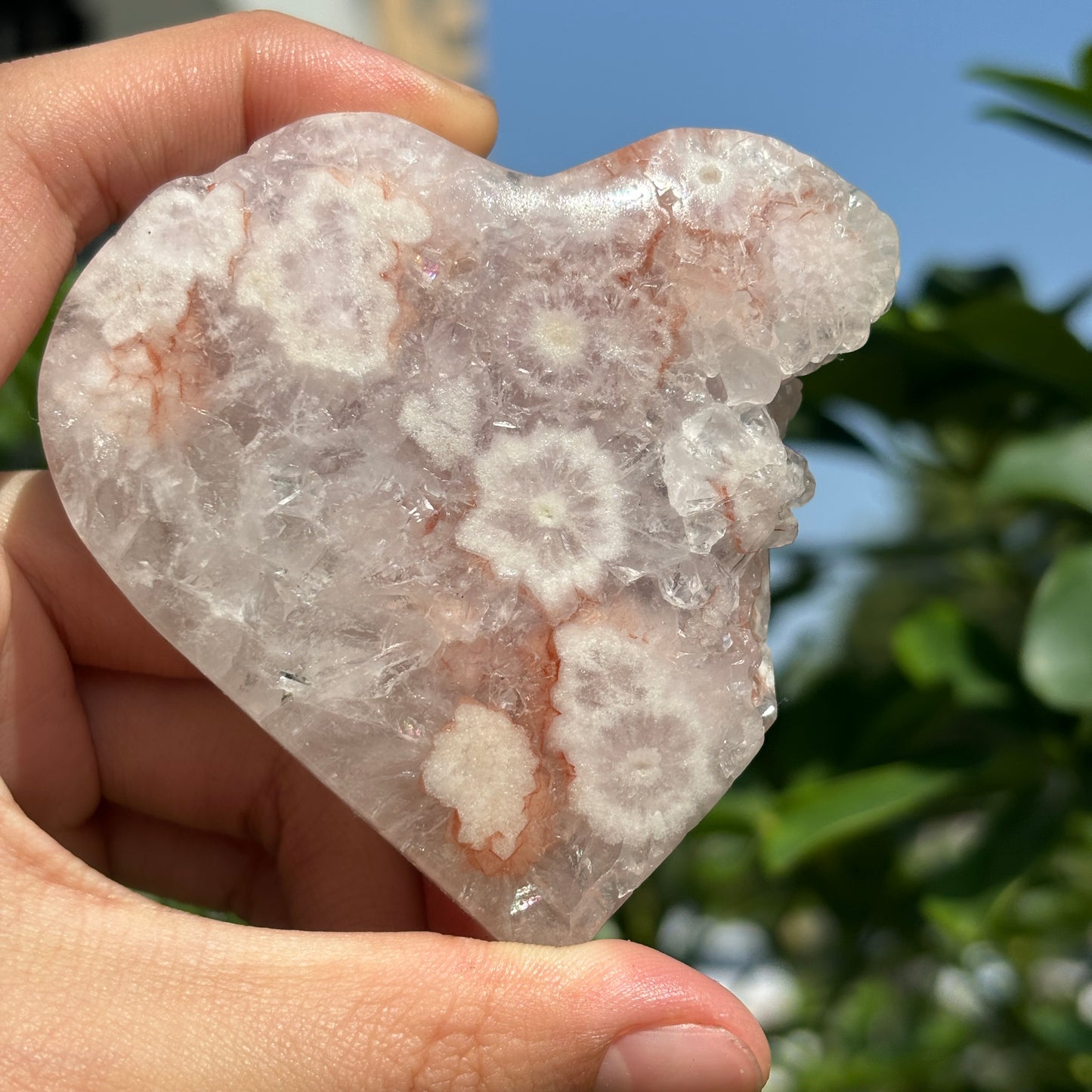 “Heart of the Natural Pink Amethyst Geode – Exquisite and Elegant, the Beauty of Raw Crystal”