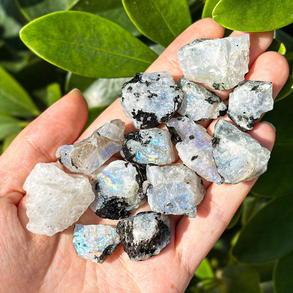 500g "Raw Moonstone with Tourmaline Inclusions – Iridescent Stones for Energy Work and Collecting"