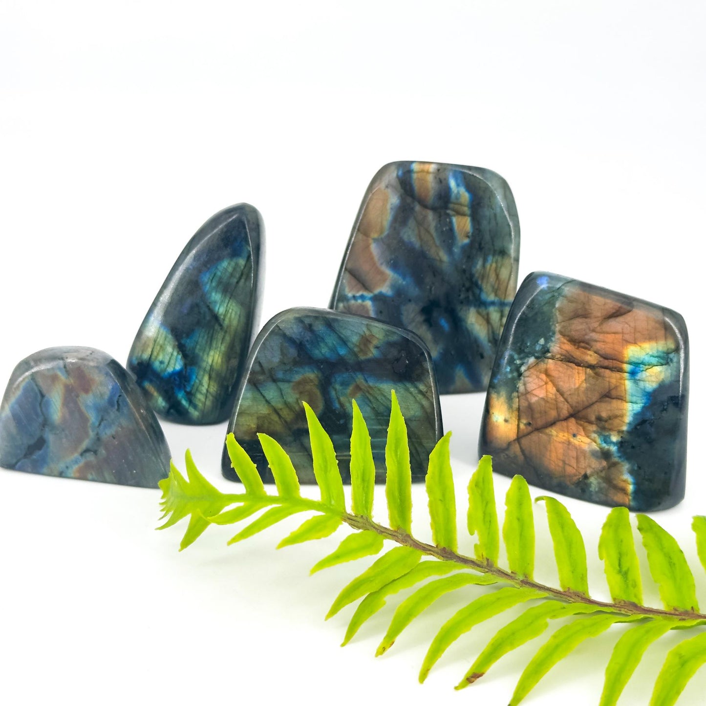 1 count Natural Labradorite Freeform Gemstone - Mineral Chakra Crystal, Home Decor